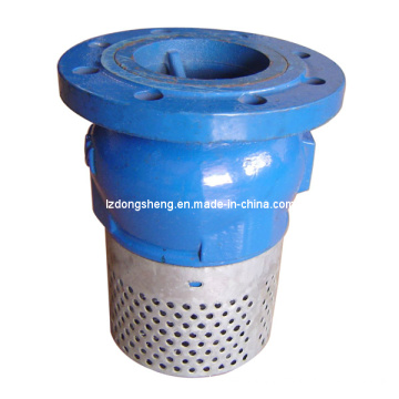 Cast Iron Flange End Foot Valve